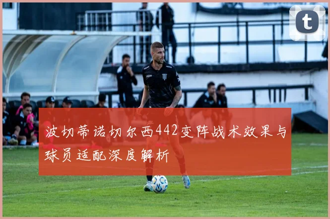 波切蒂诺切尔西442变阵战术效果与球员适配深度解析